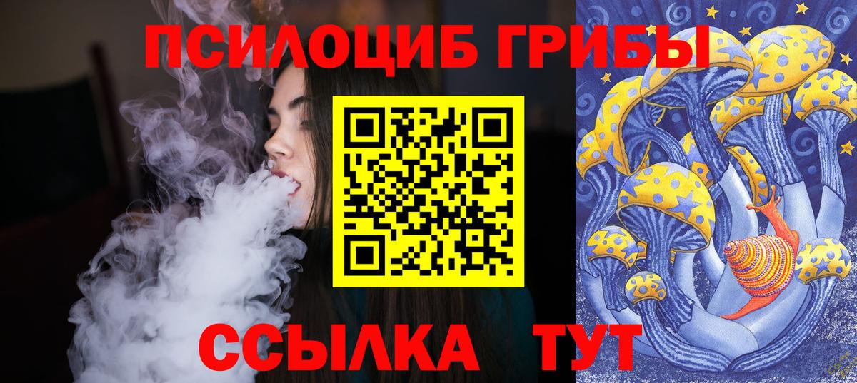 Чапаевск  Галлюциногенные грибы мицелий  Вход с VPN  Псилоцибиновые грибы Psilocybine cubensis 