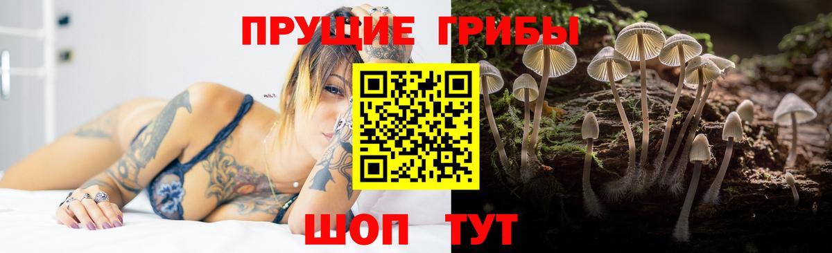 Псилоцибиновые грибы Magic Shrooms Чапаевск